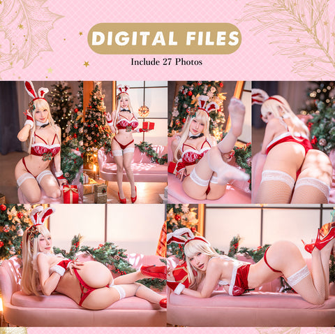 LAST OFFER 🔔XMAS Bunny 🔔HaneAme Original PhotoBook