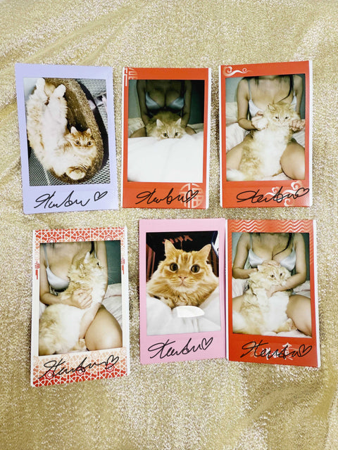 🎉 Hane & her cat's Polaroid 🎉